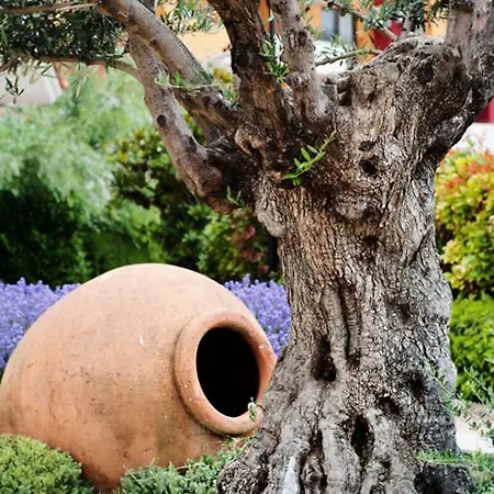 Apartahotel Marina Cape Vacation Complex Ravda