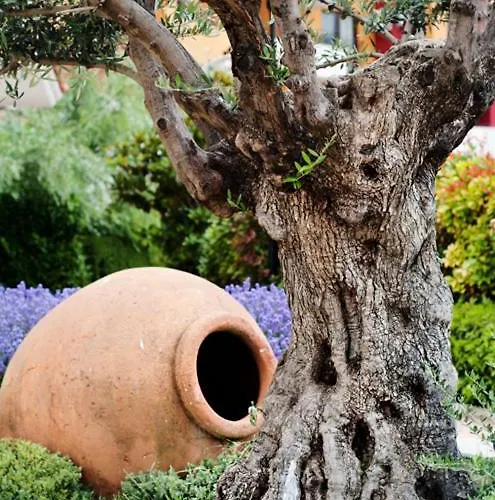 Ξενοδοχείο με διαμερίσματα Marina Cape Vacation Complex Ράβντα