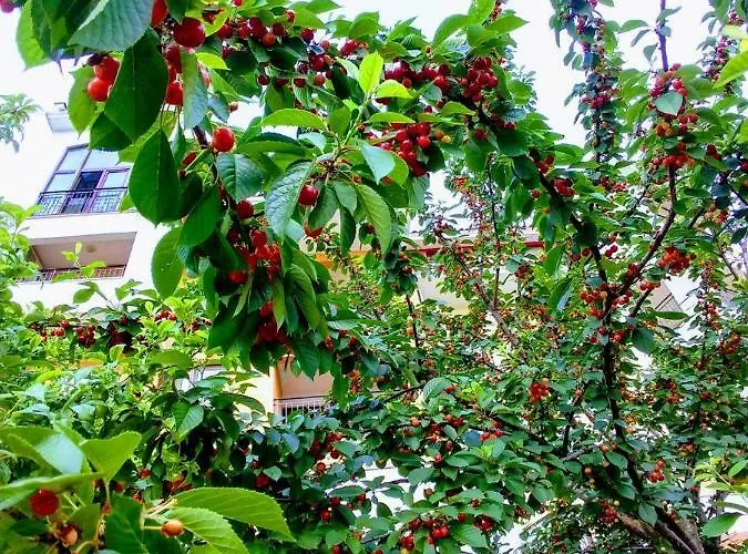 Marina Cape Vacation Complex 4* Ράβντα